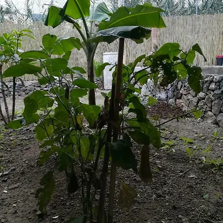 Nyaraló Casa La Terraza *