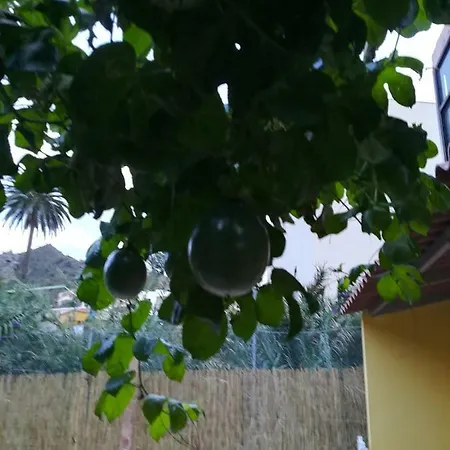 Casa La Terraza Ferienhaus Vallehermoso