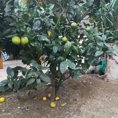 Casa La Terraza