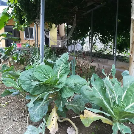 Casa La Terraza *