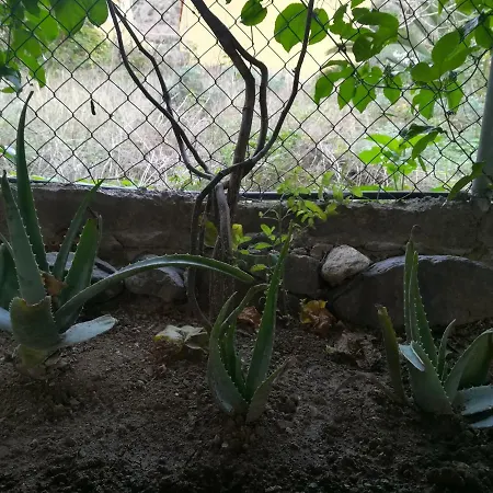 Casa La Terraza *
