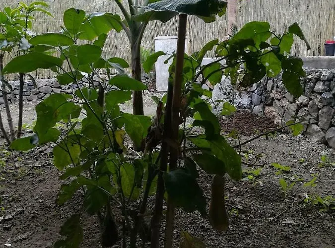 בית נופש Casa La Terraza *